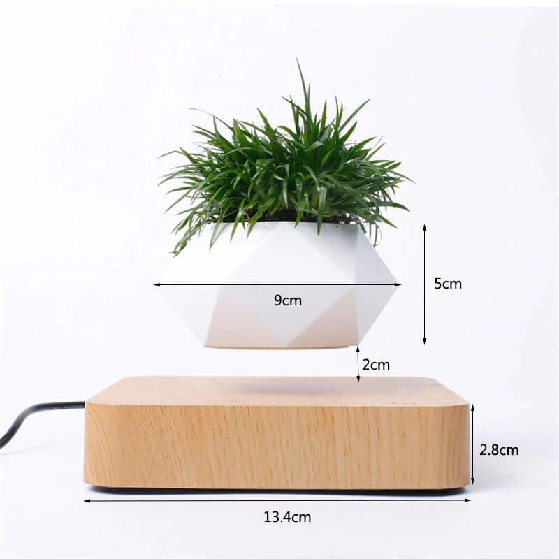 Graviflora - Levitating Plant Pot