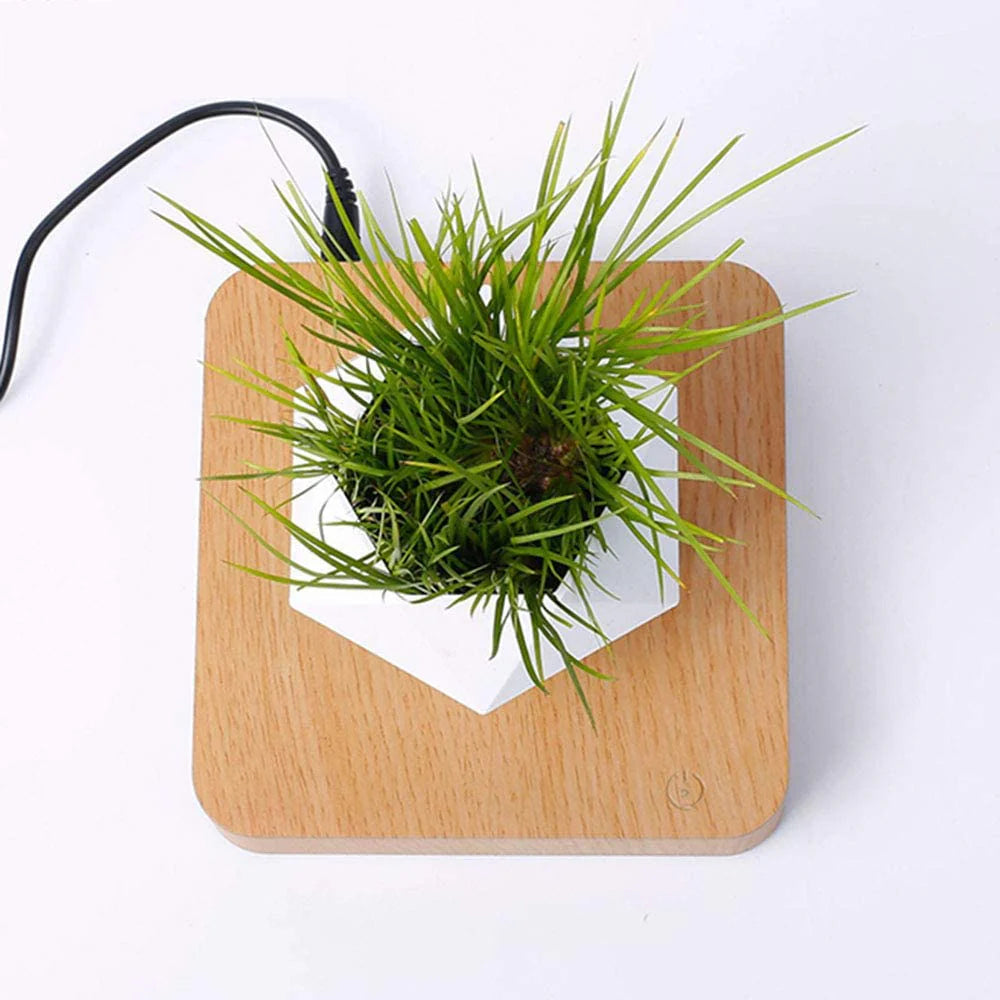 Graviflora - Levitating Plant Pot