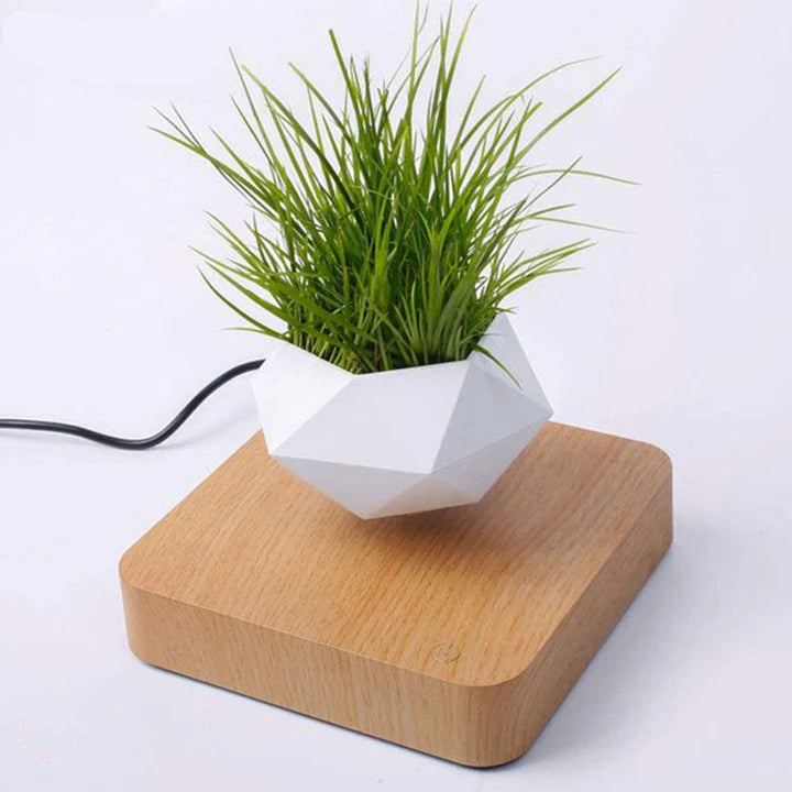 Graviflora - Levitating Plant Pot