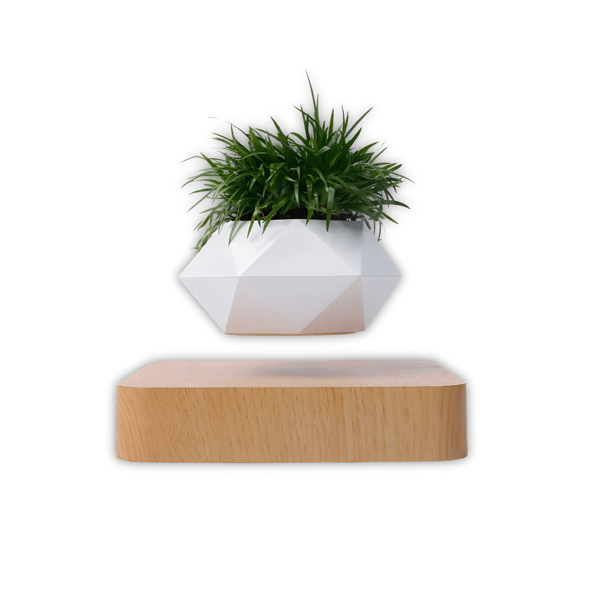 Graviflora - Levitating Plant Pot