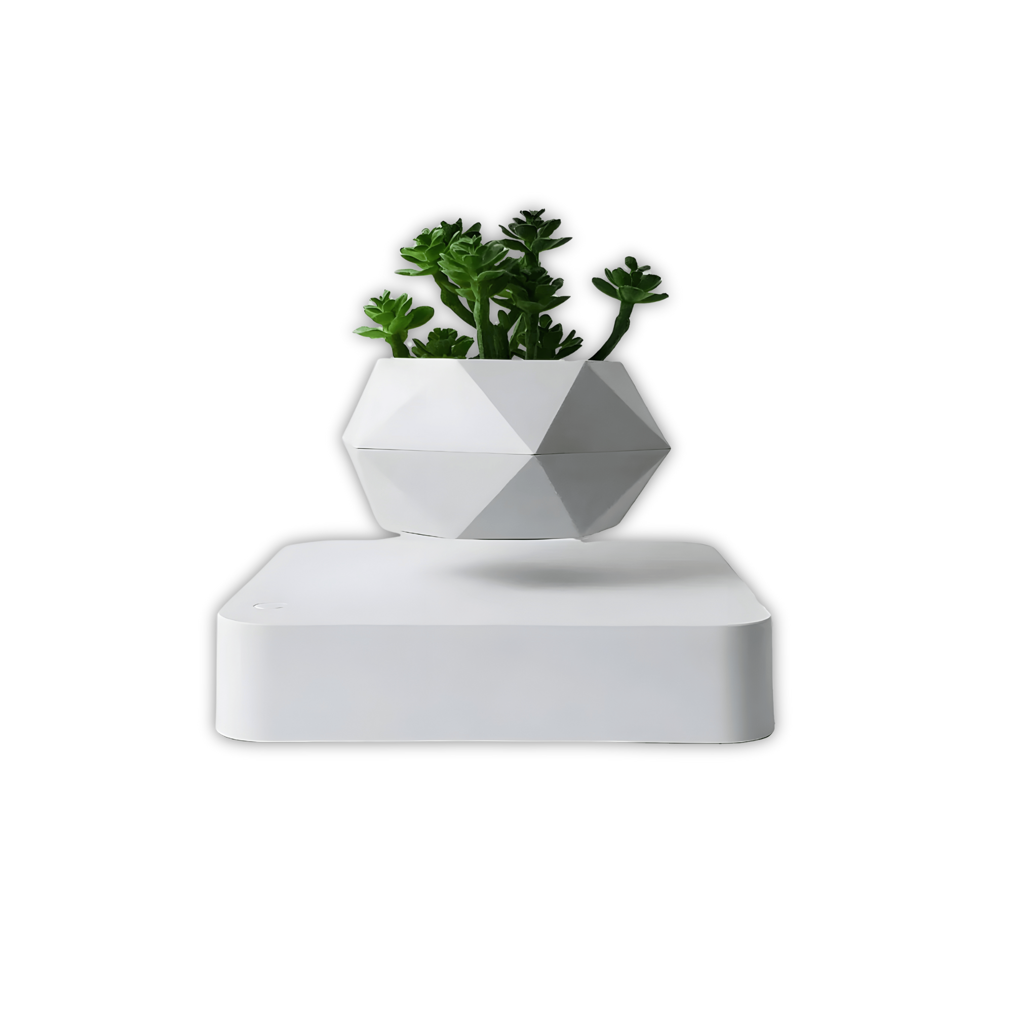 Graviflora - Levitating Plant Pot