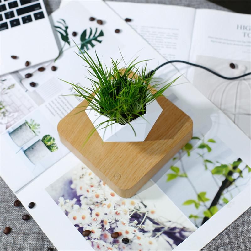 Graviflora - Levitating Plant Pot