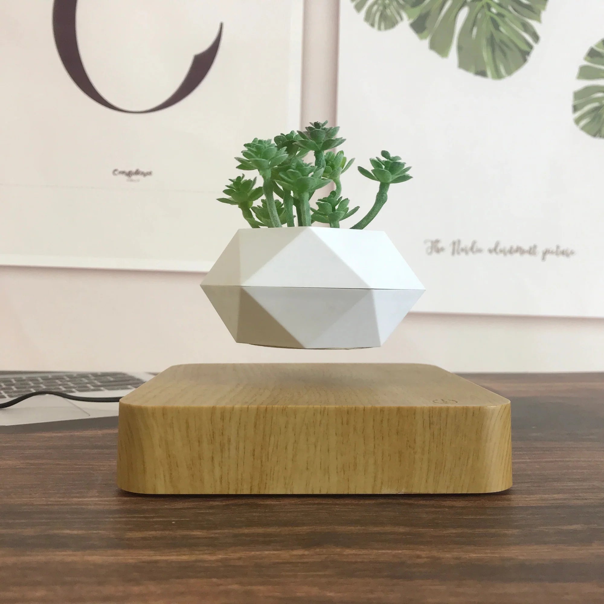 Graviflora - Levitating Plant Pot