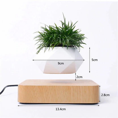 Graviflora - Levitating Plant Pot