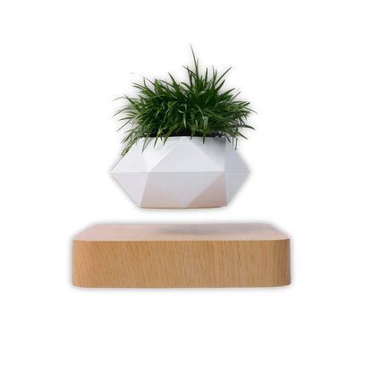 Graviflora - Levitating Plant Pot